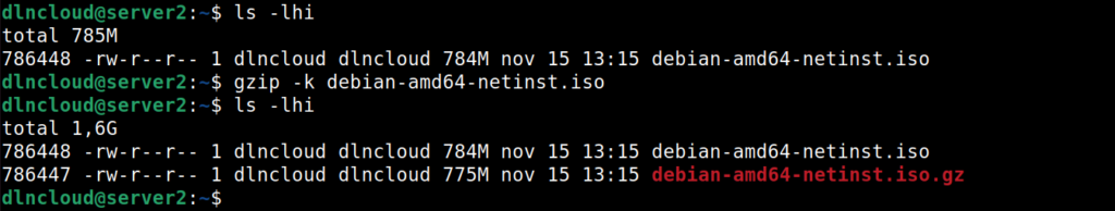 execução do comando gzip com opção -k comprimindo o arquivo, mas mantendo o original
