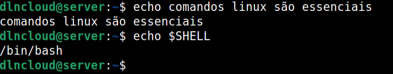 comando linux echo duas vezes. a primeira execução passando como argumento uma string ao comando echo e a segunda execução é passado uma variável. o proposito é mostrar a diferença de ambas, a primeira exibe na tela a string a segunda forma exibe na tela o valor da variável
