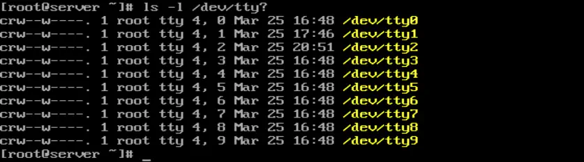 comando ls executado fazendo uso de um dos recursos do shell bash chamado file globbing usado para expandir nomes de arquivos