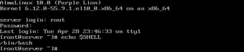 shell interativo (bash) acessado logo após autenticação