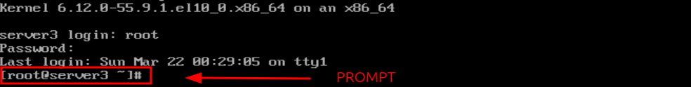 interface de linha de comando com o prompt do shell bash no linux destacado