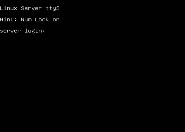 console virtual (tty3) de uma instalação no linux, também chamado somente de terminal no linux