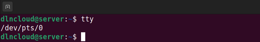 Emulador de Terminal no Linux, mostrando a saída do comando tty