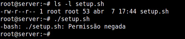 mostra a saída na comando 'ls -l setup.sh' quer o script não tem permissão de execução. em seguida tenta executar o script para aparece a mensagem de erro informando permissão negada.