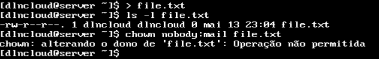 comandos:
> file.txt
ls -l file.txt
chown nobody:mail file.txt
Executados e o comando chown exibindo erro de operação não permitida