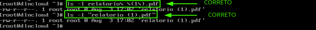 duas formas do comando ls -l sendo executado do jeito correto para exibir as propriedades do arquivo "relatorio (1).pdf"