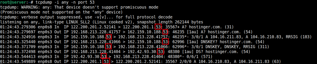 saída do comando tcvpdump filtrando trafego da porta 53