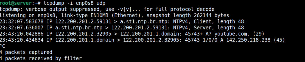 tcpdump linux mostrando na tela trafego do protocolo UDP