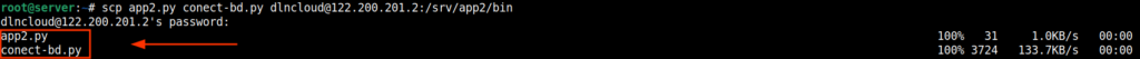 execução do comando scp para transferir arquivos via ssh para servidor remoto.
